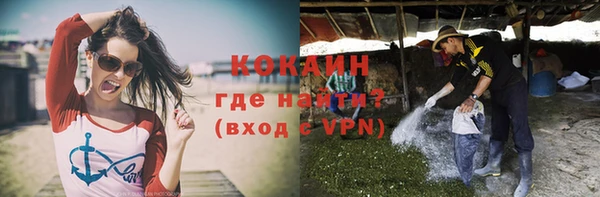 спиды Богородск