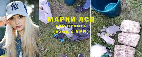 крисы Белокуриха