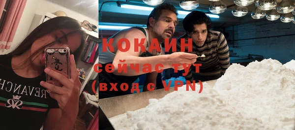 спиды Богородск