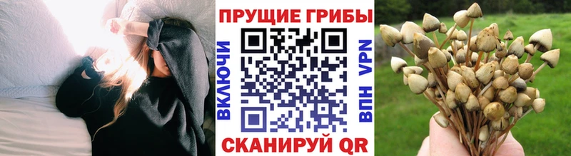 ОМГ ОМГ ONION Каменск-Уральский Галлюциногенные грибы прущие грибы